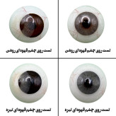 لنز چشم رویال ویژن مدل VEGAS PEARL کد07 رنگ طوسی روشن بدون دور