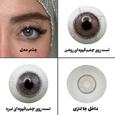 لنز چشم رویال ویژن مدل APRICOT کد 10 رنگ طوسی عسلی طبیعی دوردار