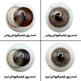 لنز چشم رویال ویژن مدل LA HAZEL کد 12 رنگ سبزعسلی طبیعی دوردار
