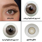 لنز چشم رویال ویژن مدل LA HAZEL کد 12 رنگ سبزعسلی طبیعی دوردار