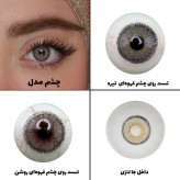 لنز چشم رویال ویژن مدل GRAFIT کد 13 رنگ طوسی سبز طبیعی دور دار
