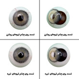 لنز چشم رویال ویژن مدل GRAFIT کد 13 رنگ طوسی سبز طبیعی دور دار