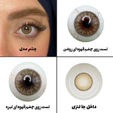 لنز چشم رویال ویژن مدل CARAMEL BR کد 15 رنگ قهوه ای کاراملی دور دار