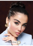 لنز چشم رویال ویژن مدل GRAFIT کد 13 رنگ طوسی سبز طبیعی دور دار