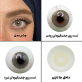 لنز چشم رویال ویژن مدل LEMONY کد 24 رنگ سبز لیمویی روشن بدون دور