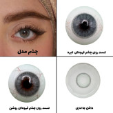 لنز چشم رویال ویژن مدل SMERALE کد 26 رنگ طوسی آبی طبیعی دوردار