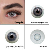 لنز چشم رویال ویژن مدل DREAM Blue کد 28 رنگ نیلی روسی