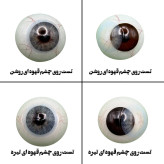 لنز چشم رویال ویژن مدل ADDICT کد 30 رنگ آبی طوسی روشن بدون دور