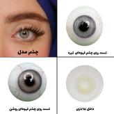 لنز چشم رویال ویژن مدل PIXY GRAY کد 31 رنگ طوسی روشن بدون دور