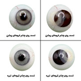 لنز چشم رویال ویژن مدل PIXY GRAY کد 31 رنگ طوسی روشن بدون دور