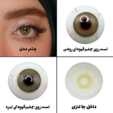 لنز چشم رویال ویژن مدل PIXY BR کد 35 رنگ عسلی با ته مایه سبز بدون دور
