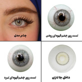 لنز چشم رویال ویژن مدل ALOE VERA کد 37 رنگ طوسی سبز یخی دوردار
