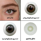 لنز چشم رویال ویژن مدل PIXY GRN کد 39 رنگ سبز طبیعی بدون دور