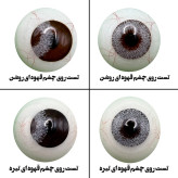 لنز چشم هرا مدل 01 کد NNA110 رنگ طوسی بدون دور