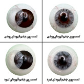 لنز چشم هرا مدل 03 کد HC110 رنگ طوسی روشن بدون دور