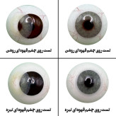 لنز چشم هرا مدل 06 کد SCA210 رنگ طوسی سبز روشن بدون دور