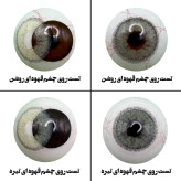 لنز چشم هرا مدل 12 کد SDA310 رنگ سبز عسلی طبیعی دور دار