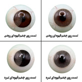 لنز چشم هرا مدل 14 کد SBA120 رنگ عسلی روشن بدون دور
