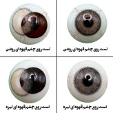 لنز چشم هرا مدل 15 کد AQYA320 رنگ عسلی طوسی طبیعی دور دار
