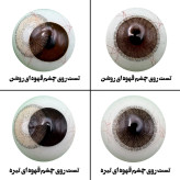 لنز چشم هرا مدل 17 کد ACJA220 رنگ قهوه ای طبیعی دوردار