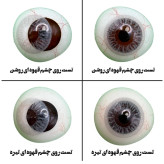 لنز چشم هرا گریس مدل Diamond gray کد 01 رنگ خاکستری روشن