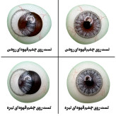 لنز چشم هرا گریس مدل Miami gray کد 03 رنگ طوسی دوردار