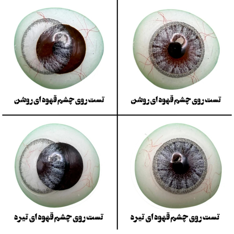 لنز چشم هرا گریس مدل Miami gray کد 03 رنگ طوسی دوردار
