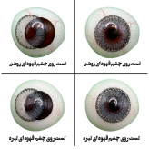 لنز چشم هرا گریس مدل Honey gray کد 05 رنگ طوسی دوردار
