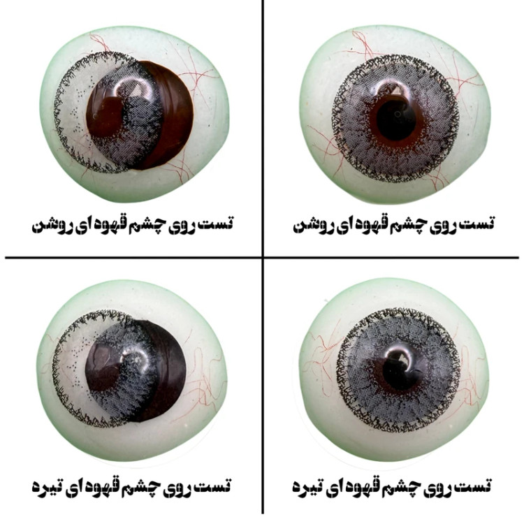 لنز چشم هرا گریس مدل Honey gray کد 05 رنگ طوسی دوردار