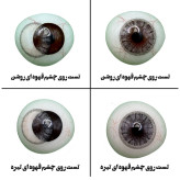 لنز چشم هرا گریس مدل Ava brown کد 06 رنگ خاکستری عسلی