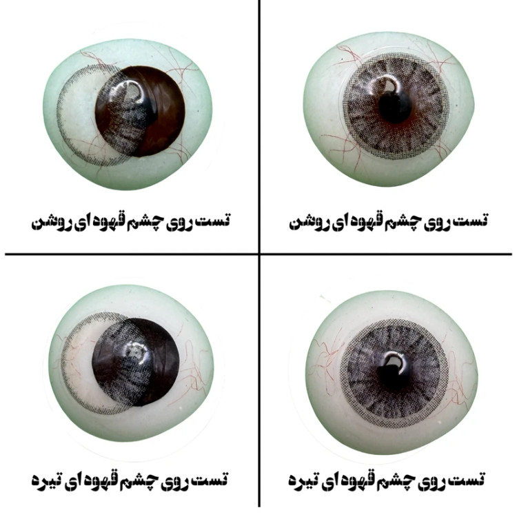 لنز چشم هرا گریس مدل Ava brown کد 06 رنگ خاکستری عسلی