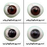 لنز چشم هرا گریس مدل Purple کد 07 رنگ خاکستری تیره