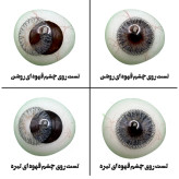 لنز چشم هرا گریس مدل Pale gray کد 08 رنگ طوسی عسلی دوردار