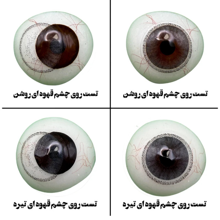 لنز چشم هرا گریس مدل Mini ava کد 09 رنگ خاکستری دورمشکی