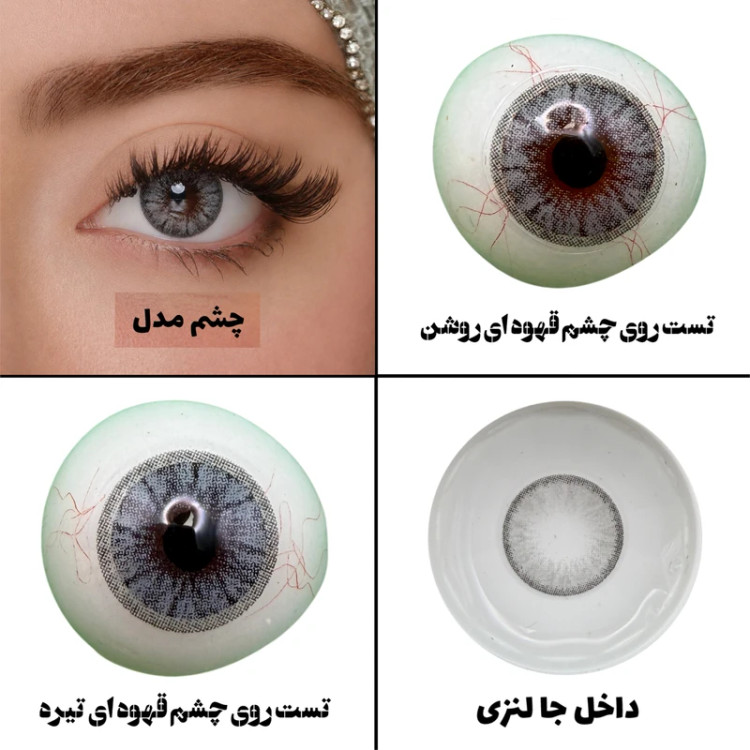 لنز چشم هرا گریس مدل Dream gray کد 10 رنگ طوسی