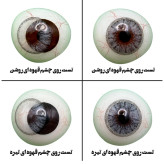 لنز چشم هرا گریس مدل Dream gray کد 10 رنگ طوسی