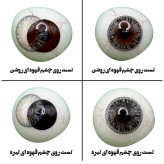 لنز چشم هرا گریس مدل Sterling gray کد 11 رنگ طوسی عسلی دوردار