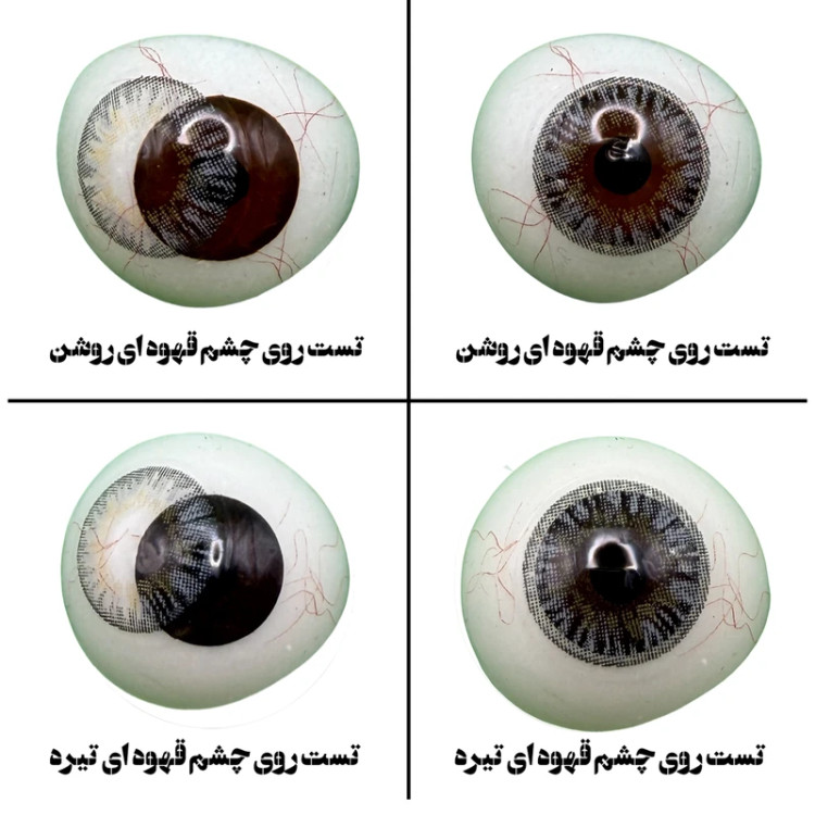 لنز چشم هرا گریس مدل Sterling gray کد 11 رنگ طوسی عسلی دوردار