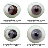 لنز چشم هرا گریس مدل Rebel gray کد 12 رنگ طوسی خاکستری ملایم