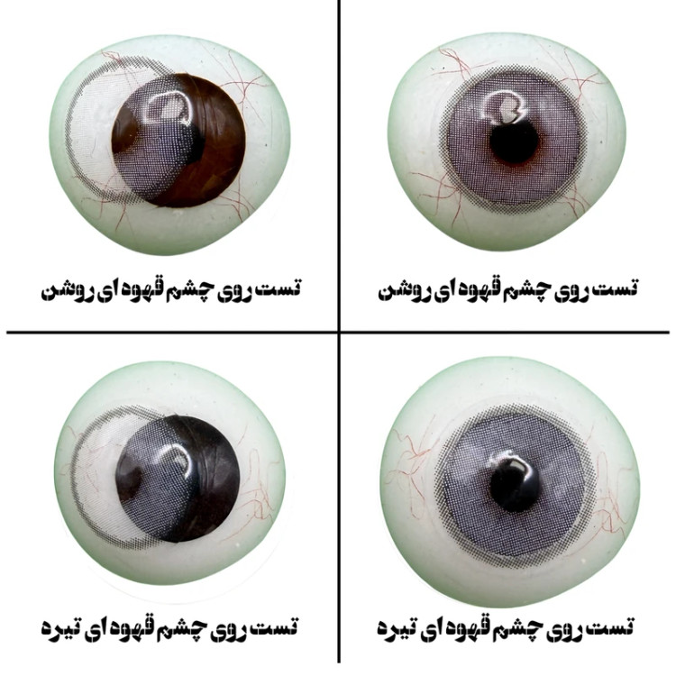 لنز چشم هرا گریس مدل Rebel gray کد 12 رنگ طوسی خاکستری ملایم